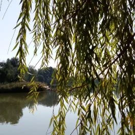 Hunguest Hotel Sóstó, Nyíregyháza - Sóstó - Egyéb