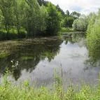 Ipolytarnóci Ősmaradványok Természetvédelmi Terület Ipolytarnóc - 