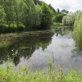 Ipolytarnóci Ősmaradványok Természetvédelmi Terület Ipolytarnóc - Egyéb