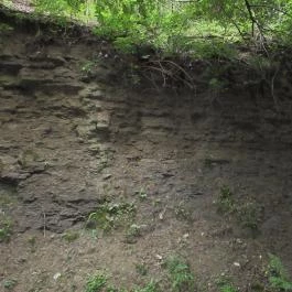 Ipolytarnóci Ősmaradványok Természetvédelmi Terület Ipolytarnóc - Egyéb