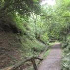 Ipolytarnóci Ősmaradványok Természetvédelmi Terület Ipolytarnóc - 