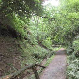 Ipolytarnóci Ősmaradványok Természetvédelmi Terület Ipolytarnóc - Egyéb