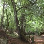 Ipolytarnóci Ősmaradványok Természetvédelmi Terület Ipolytarnóc - 