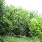 Ipolytarnóci Ősmaradványok Természetvédelmi Terület Ipolytarnóc - 