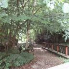 Ipolytarnóci Ősmaradványok Természetvédelmi Terület Ipolytarnóc - 