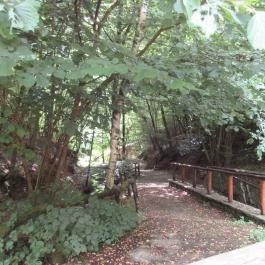 Ipolytarnóci Ősmaradványok Természetvédelmi Terület Ipolytarnóc - Egyéb