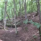 Ipolytarnóci Ősmaradványok Természetvédelmi Terület Ipolytarnóc - 