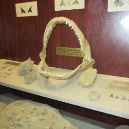 Ipolytarnóci Ősmaradványok Természetvédelmi Terület Ipolytarnóc - Egyéb