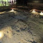 Ipolytarnóci Ősmaradványok Természetvédelmi Terület Ipolytarnóc - 