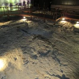 Ipolytarnóci Ősmaradványok Természetvédelmi Terület Ipolytarnóc - Egyéb