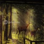 Ipolytarnóci Ősmaradványok Természetvédelmi Terület Ipolytarnóc - 