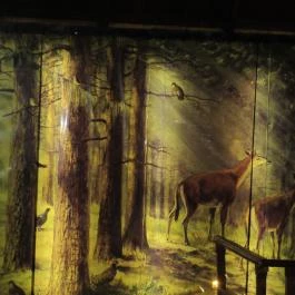 Ipolytarnóci Ősmaradványok Természetvédelmi Terület Ipolytarnóc - Egyéb