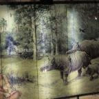 Ipolytarnóci Ősmaradványok Természetvédelmi Terület Ipolytarnóc - 