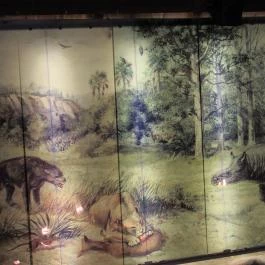 Ipolytarnóci Ősmaradványok Természetvédelmi Terület Ipolytarnóc - Egyéb