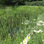 Ipolytarnóci Ősmaradványok Természetvédelmi Terület Ipolytarnóc - 