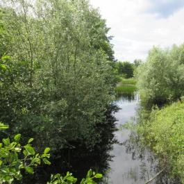 Ipolytarnóci Ősmaradványok Természetvédelmi Terület Ipolytarnóc - Egyéb