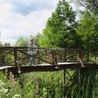 Ipolytarnóci Ősmaradványok Természetvédelmi Terület Ipolytarnóc - 