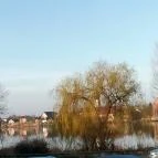 Duna Relax & Event Hotel Ráckeve - Környék