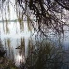 Duna Relax & Event Hotel Ráckeve - Környék