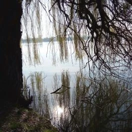 Duna Relax & Event Hotel, Ráckeve - Környék