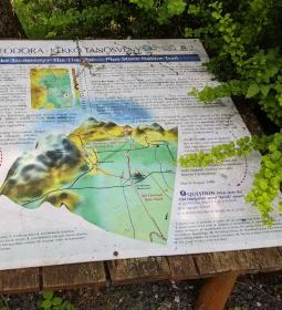 Kékkúti Theodora-forrás