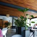 Kiskulacs Étterem Székesfehérvár - Egyéb