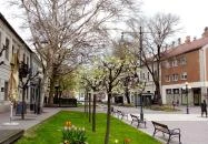 Kövér Cukrászda Sátoraljaújhely