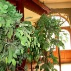 Hotel Agora Étterem Siklós - Belső