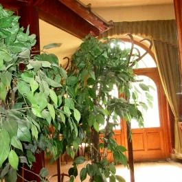 Hotel Agora Étterem, Siklós - Belső