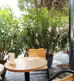 La Téne Desszertműhely és Kávéház