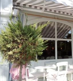 La Vie En Rose Coffee & Lifestyle