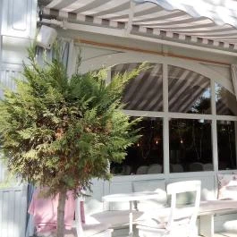 La Vie En Rose Coffee & Lifestyle Veresegyház - Egyéb