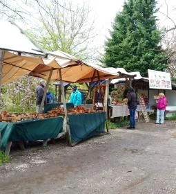 Liliomkert Termelői Piac