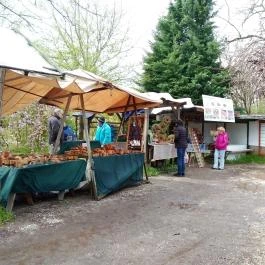 Liliomkert Termelői Piac Káptalantóti - Egyéb