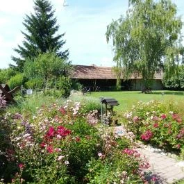 A Major, Ásványráró - Egyéb