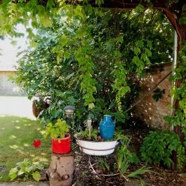 A Major, Ásványráró - Egyéb