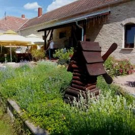 A Major, Ásványráró - Egyéb