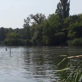 Malom-tó, Tóstrand Veresegyház - Egyéb