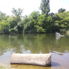 Malom Tóstrand, Veresegyház - 