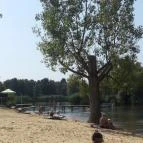 Malom Tóstrand Veresegyház - 
