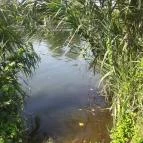 Malom Tóstrand Veresegyház - 