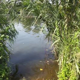 Malom Tóstrand, Veresegyház - 