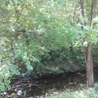 Malom Tóstrand Veresegyház - 