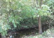 Malom Tóstrand Veresegyház