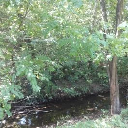 Malom Tóstrand, Veresegyház - 