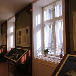 Beethoven Emlékmúzeuma Martonvásár - Egyéb