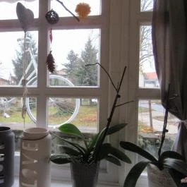 Nagyi Vintage Kuckója, Hévíz - Belső