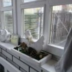 Nagyi Vintage Kuckója Hévíz - Belső