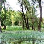 Nálunk, vidéken Ásványráró - Környék