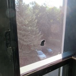 Napsugár Hotel Gyopárosfürdő Gyopárosfürdő - Szobák